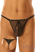 ����������  � ����������